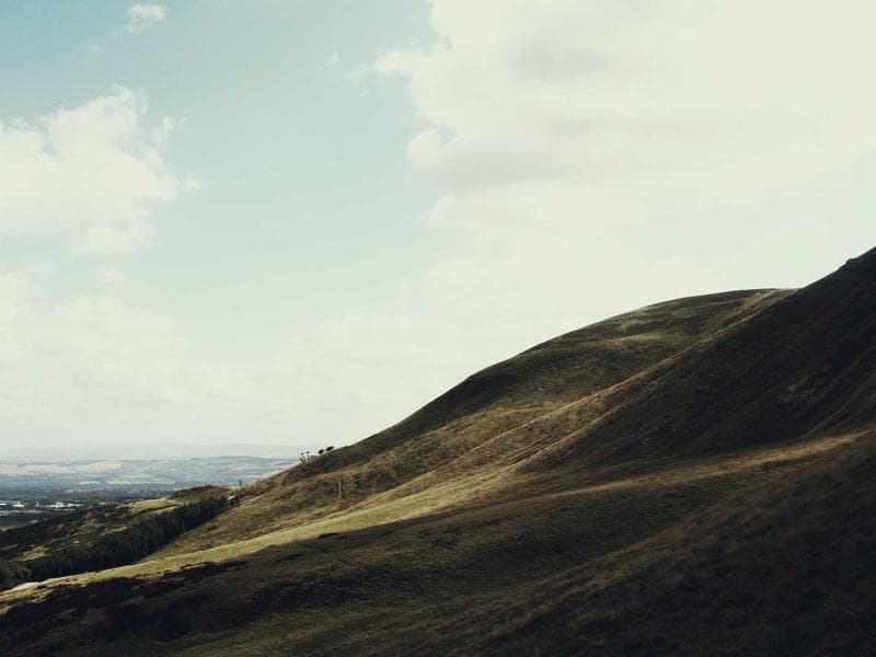 Penyembelihan Qurban