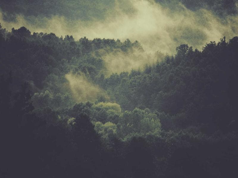 TPA & Kelompok Belajar Anak